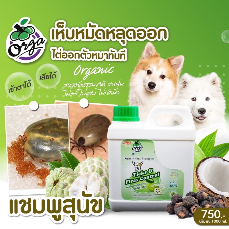 แชมพูเห็บหมัดสุนัขแมวสูตรน้อยหน่าขนาด1000ml.หายคันหลับสบายไม่กวนใจ