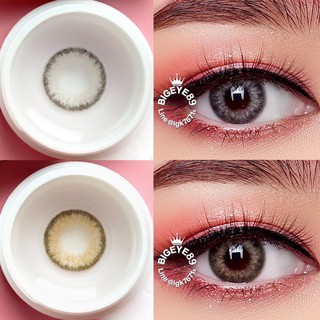 คอนแทคเลนส์ Wink Lens DNA ค่าสายตา 0.00 ถึง -5.00