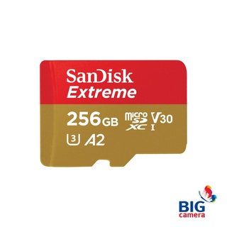 SanDisk 256GB Extreme UHS-I microSDXC Memory Card