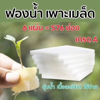 ฟองน้ำ เพาะเมล็ดผัก ระบบไฮโดรโปนิกส์ เกรด A (จำนวน 6 แผ่น ปลูกได้ 576 ต้น) อุ้มน้ำได้ดี เนื้อละเอียด รากพืชเดินดี