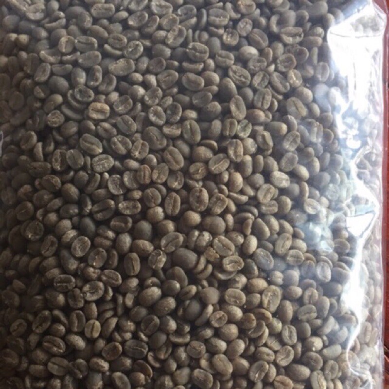เมล็ดกาแฟสารเกรดพรีเมี่ยม1kg ผาฮี้อาราบิก้า100% ( Wet Process )