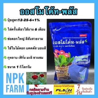 ออสโมโค้ท พลัส (Osmocote Plus 12-25-6) โซตัส ปุ๋ยละลายช้า ใส่ครั้งเดียว พืชกินนาน 6 เดือน ใช้ในไม้ดอก กล้วยไม้ แคคตัส กุ