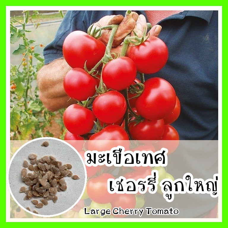 My Image 33