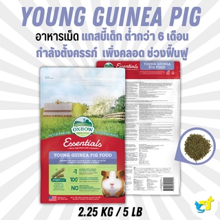 Oxbow Young Guinea Pig Food อาหารแกสบี้เด็ก (อายุต่ำกว่า 6เดือน) 5 lb (2.25 kg)