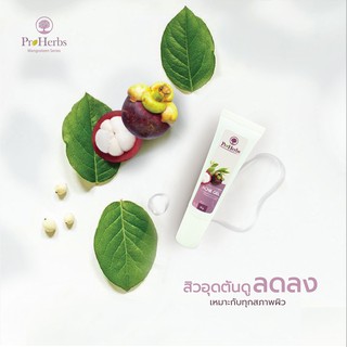 Mangosteen Ance Gel เจลแต้มสิว