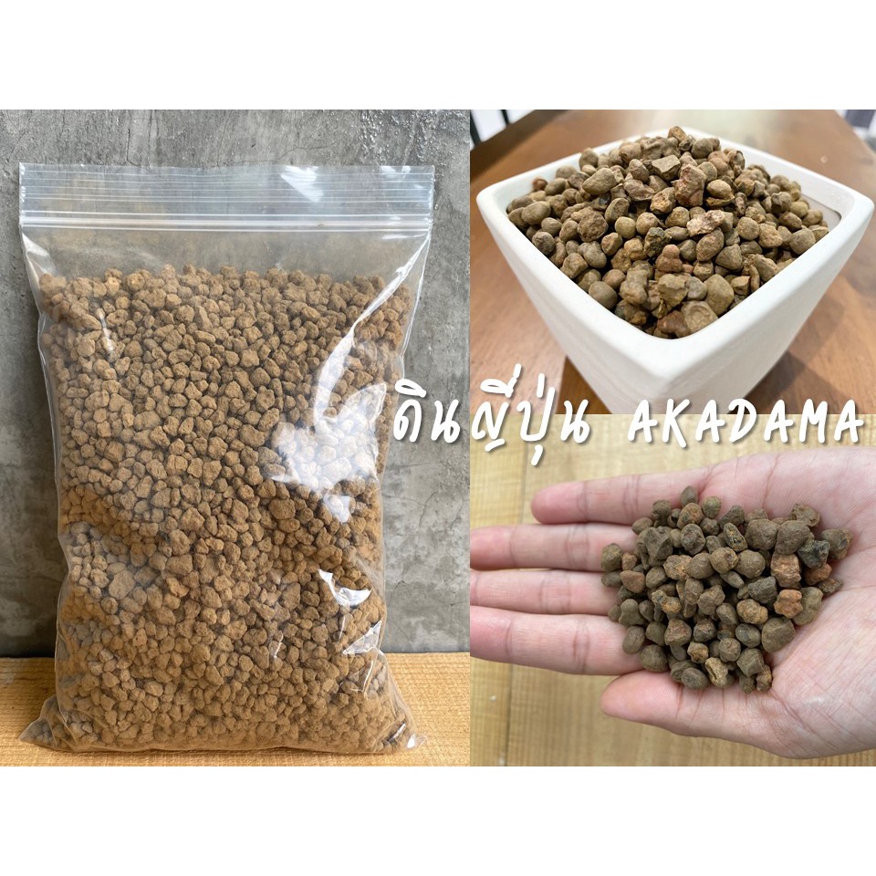 ดินญี่ปุ่น อคาดามะ AKADAMA SOIL แบ่งขายตามน้ำหนัก ดินโรยหน้ากระถาง