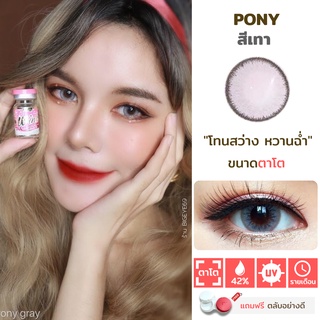 ไม่แถมตลับ Pony Gray (ตาโต) คอนแทคเลนส์ Wink