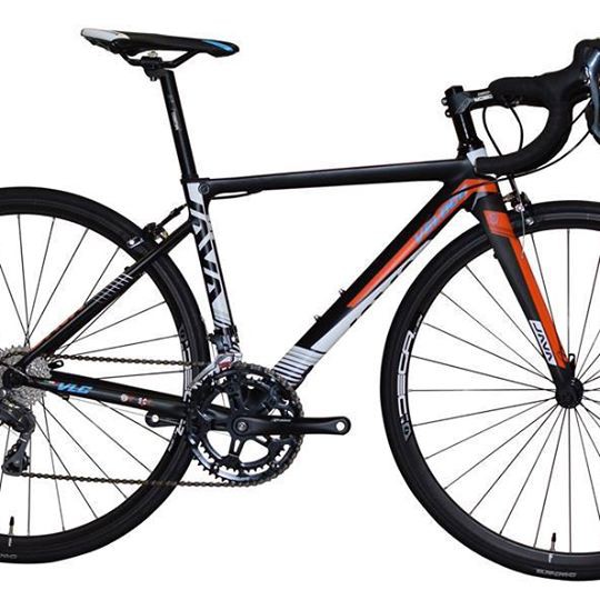 เสือหมอบ JAVA VELOCE