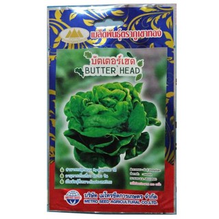 เมล็ดผักสลัด บัตคเตอร์เฮด (BUTTER HEAD) 200 เมล็ดโดยประมาณ (เมล็ดพันธุ์ผัก ตราภูเขาทอง)