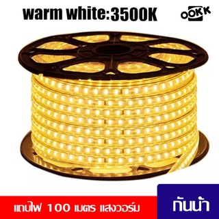 แถบไฟ 220V กันน้ำและกันแดด แถบไฟ Led Light พร้อมปลั๊ก โคมไฟเชือกยืดหยุ่น60 Leds/M ความสว่างสูงกลางแจ้ง ยาว 100เมตร