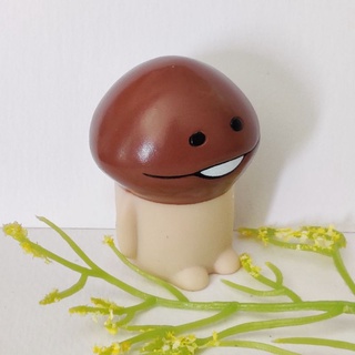 ของสะสม เห็ดนาเมโกะ Nameko