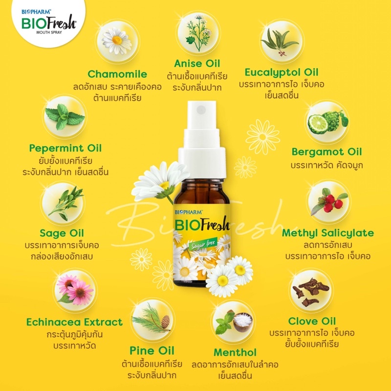 Biofresh spray 15ml สเปรย์พ่นคอ