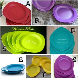 TUPPERWARE จานทัปเปอร์แวร์ พลาสติก ลายดอกไม้ สําหรับใส่อาหาร