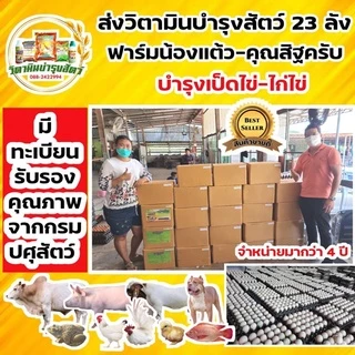 ไก่ไข่ไข่ดก ใบใหญ่ น้ำหนักดี เปลือกหนาเปลือกแข็ง เปอร์เซ็นต์ไข่ดี วิตามินบำรุงไก่ไข่โดยเฉพาะ ซันไวตามินพลัส2 ( 2 กิโล)