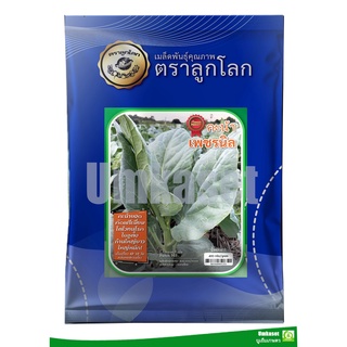 เมล็ดพันธุ์คะน้าเพชรนิล (400ก)ตราลูกโลก