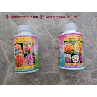 ปุ๋ย Nature Cactus บำรุงต้น Cactus และปุ๋ย Cactus bloom เร่งดอก (ขายแพ็คมี 2 ขวด)