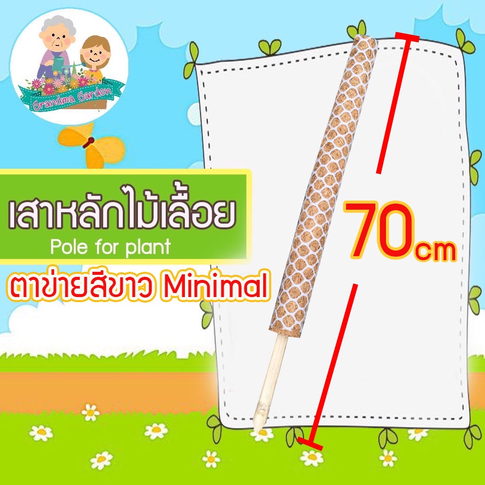 เสาไม้เลื้อยตาข่ายขาว 70cm เสาไม้เลื้อย หลักไม้เลื้อย ซุ้มต้นไม้ ไม้เลื้อย เสาหลักไม้🍀มินิมอล มอนสเต