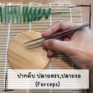 forceps ปากคีบสแตนเลส ปากคีบร้อยด้าย