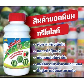 ทรีโตไลท์ ขนาด 1 ลิตร (หัวเชื้ออาหารเสริมชนิดเข้มข้น) เร่งการเจริญเติบโตและแตกแขนง ทนต่อการเข้าทำลายของโรค