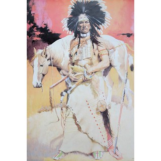 โปสเตอร์ Cowboy Indian