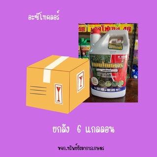 อะซีโทคลอร์ ( คอนโทคอร์ ) ม้าทองเศรษฐี “ยกลัง 6 แกนลอน ”(สีขาว) ใช้ก่อนวัชพืชงอก ข้าวโพด อ้อย มันสำปะหลั่ง ฯลฯ