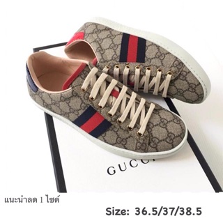 NEW Gucci Sneakers