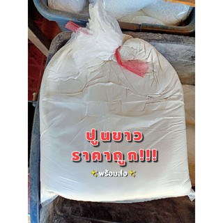 ปูนขาว ฆ่าเชื้อ ปรับสภาพดิน ราคาถูก 10kg.พร้อมส่ง!!