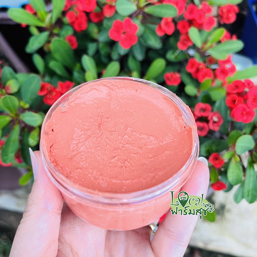 ปูนแดง (Red Lime) 🍁100 กรัม ปูนแดงทาแผลต้นไม้  ปูนแดงทาต้นไม้ - รูปที่ 2