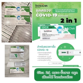 💚GICA 2:1 ของแท้ Gica หน้าเด็ก ตรวจน้ำลาย ตรวจจมูก ในกล่องเดียวกัน‼️ ชุดตรวจ ATK ชุดตรวจโควิด