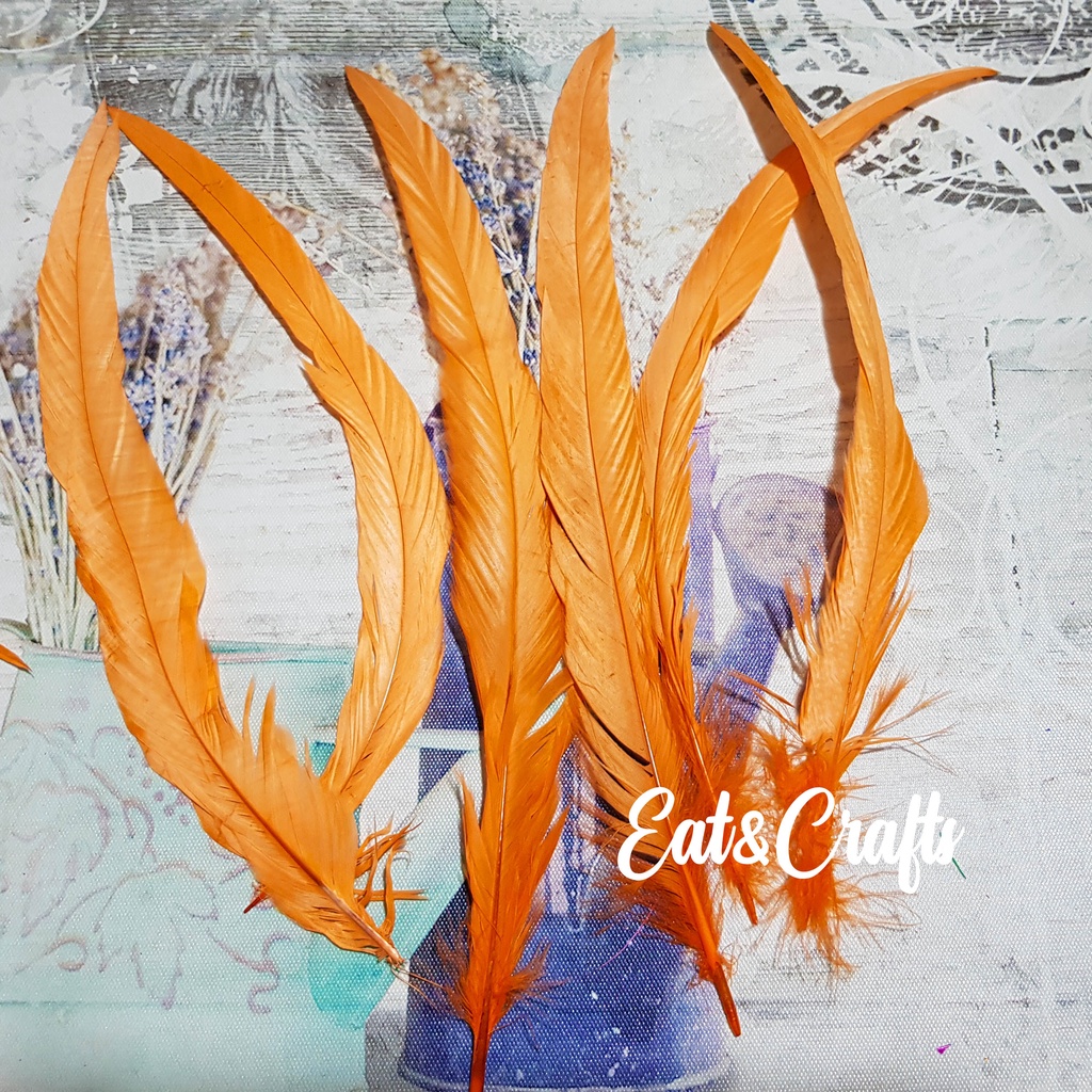ขนไก่โต้ง สั้น 9 ก้าน มีหลายสี (พร้อมส่ง) เส้นขน ขนนก ขนไก่ แบ่งขาย  ขนาดเล็ก ยาว10-12 นิ้ว Rooster Coque Tail Feather ราคา ถูกที่สุด ดีลบีเคเค แกลเลอรีภาพที่ 4