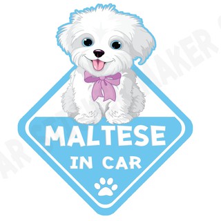 สติกเกอร์ติดรถ สติ๊กเกอร์ติดรถยนต์ สติกเกอร์หมา DGA136  Maltese dog