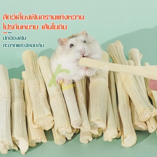 ไผ่หวานลับฟัน ไม้แอปเปิ้ล Sweet bamboo ขนมลับฟันมีประโยชน์ ไม้แอปเปิ้ลอบเเห้ง ไม้ขัดฟัน​ ขนมสัตว์ฟันแทะ ไผ่หวานออแกนิค