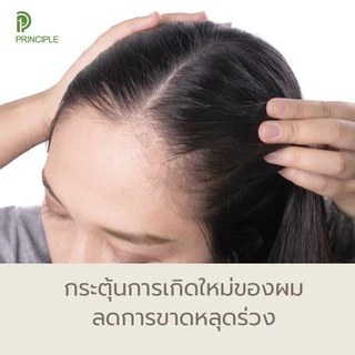 แชมพูสมุนไพร Principle พริ้นซิเพิล มะหาด โรสแมรี่ ผมงอกใหม่ แชมพูลดผมร่วง ไม่มีซิลิโคน ไม่มีพาราเบน
