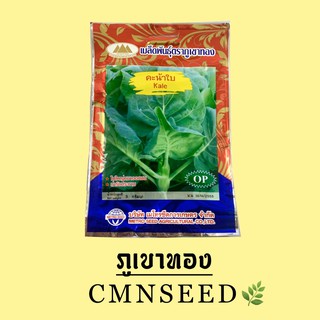 เมล็ดพันธุ์ คะน้าใบ ( kale ) ตราภูเขาทอง ปริมาณ 5 กรัม