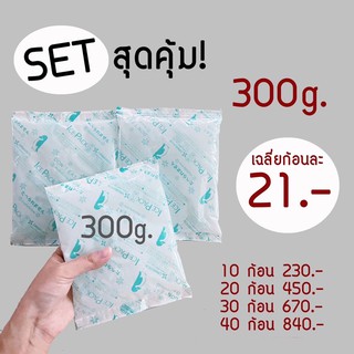 💯Setสุดค้ม‼️ Ice Pack 300g  10ก้อน 20ก้อน 30ก้อน 40ก้อน