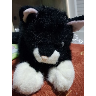 น้องแมวดำ ตาแก้วเขียว