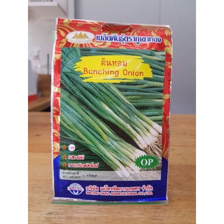 ต้นหอม(bunching onion)