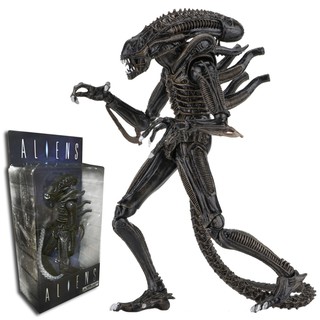 Figma ฟิกม่า Model Figure ฟิกเกอร์ โมเดล 1986 Movie Aliens NECA Cult Classics