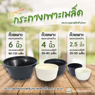 🌱กระถางเพาะเมล็ด🌱 ถ้วยเพาะเมล็ด☘️2.5นิ้ว 4นิ้ว 6นิ้ว☘️ ถ้วยเพาะแบบหนา  กระถางแคคตัส กระถางพลาสติก กระถางกระบองเพชร