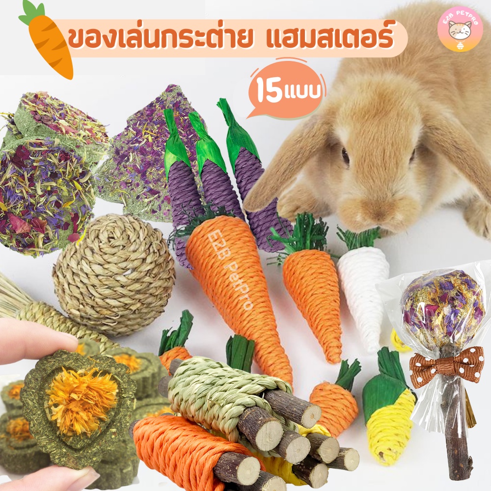 ของเล่นกระต่าย ของเล่นแฮมสเตอร์ แครอทขัดฟัน ไม้ลับฟันจากธรรมชาติ สะอาด ปลอดภัย แทะสนุกทั้งวัน B031