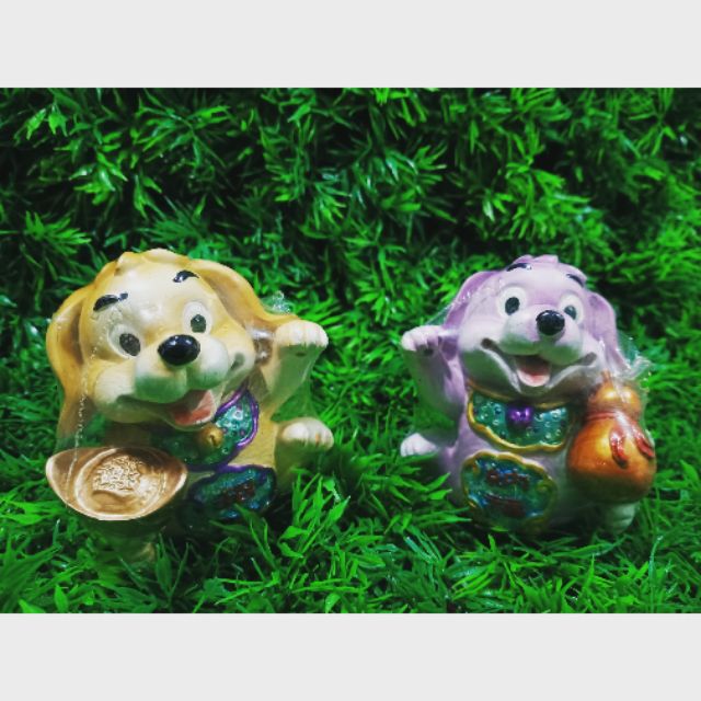 Lucky Dog. หมากวักนำโชค