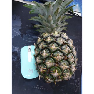 สัปรดศรีราชา สัปรดสดขายส่ง 3ลูกซื้อไปขายต่อหรือไปฝากทานเองได…