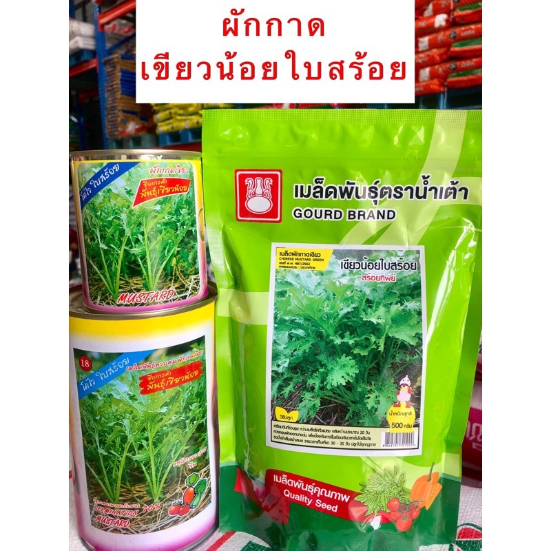 (ครึ่งโล) เขียวน้อย ผักกาดเขียวน้อยใบสร้อย การันตรีอัตราการงอก ขนาด ( 500 กรัม ) ราคาถูก