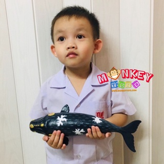 Monkey Toys - โมเดลสัตว์ ปลาวาฬไรท์ แบนิ่ม ขนาด 32.00 CM (จากหาดใหญ่)