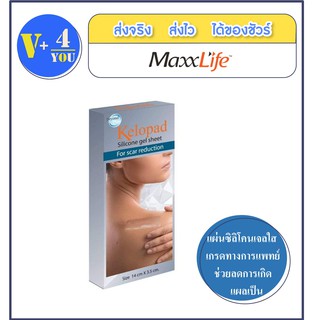 Maxxlife Kelopad Silicone Gel Sheet คีโลแพด ซิลิโคนเจล ชีท ขนาด 14 x 3.5 cm.1 กล่อง (P6)