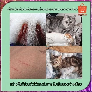 ที่ลับเล็บแมว ที่ลับเล็บ2in1 แผ่นลับเล็บแมว เปลี่ยนกระดาษลับเล็บได้ กระดาษลับเล็บแมว ที่ฝนเล็บแมว ที่ลับเล็บสัตว์เลี้ยง
