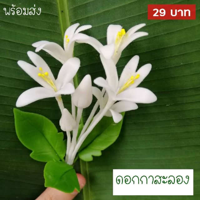 ดอกปีบ ดอกกาสะลอง ดอกไม้ติดผม ดอกไม้ปักผม ดอกไม้ประดิษฐ์ | Shopee Thailand