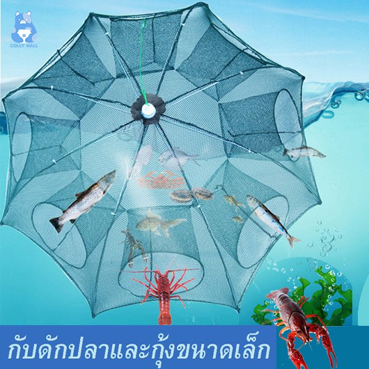 มุ้งดักกุ้ง 6หลุม และ 8หลุม มุ้งดักปลา ตาข่ายดักปลา มุ้งดักปลากุ้ง ตาข่ายดักจับปูและกุ้ง มุ้งดักปลา 