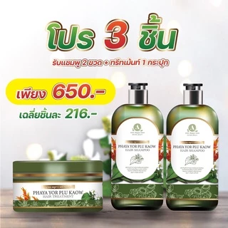 แชมพูพญายอพลูคาว แก้คันเชื้อรา ผมร่วง ของแท้จากบริษัท 1ขวด 250ml