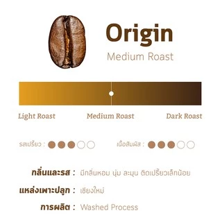 Origin Medium Roasted (เมล็ดกาแฟไทย)